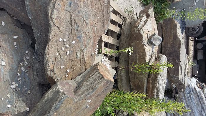 Łupek szarogłazowy ścieżkowy