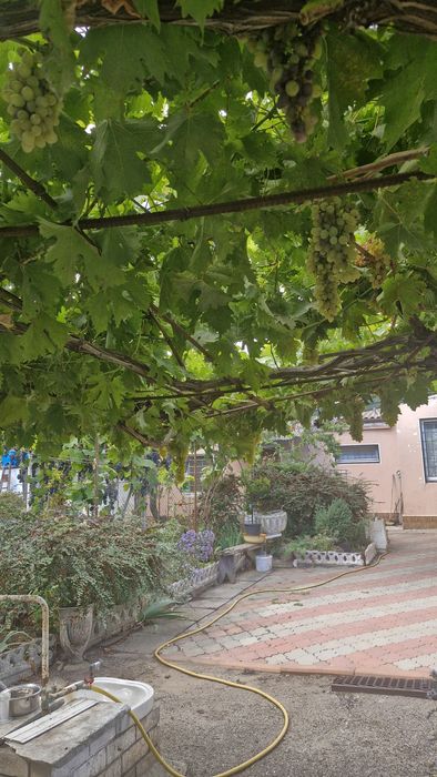 Дом по адресу (площадь 83 м²) - Atlanta.ua - фото 13