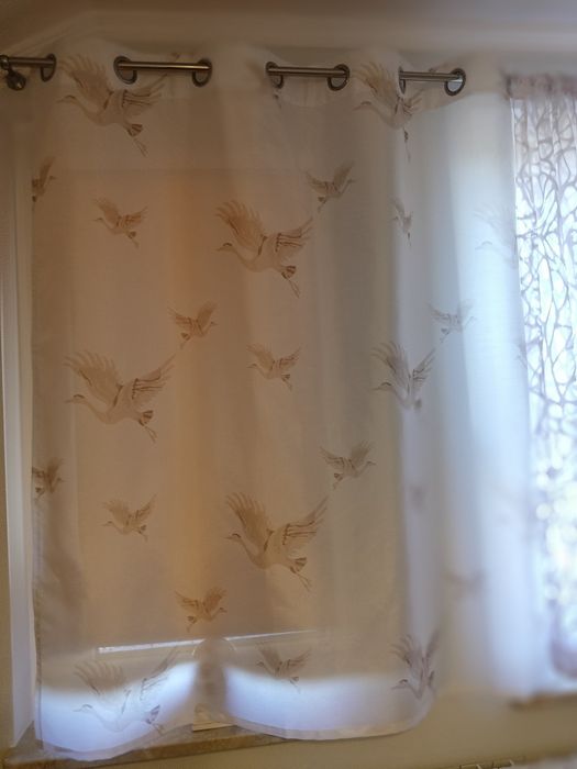 Zasłona w ptaki  138/150