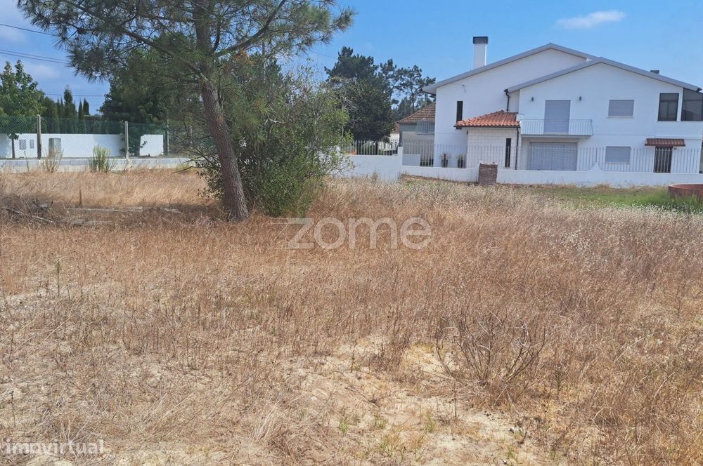 Terreno Para Construção Carreiros, Sanguinheira, Cantanhede.