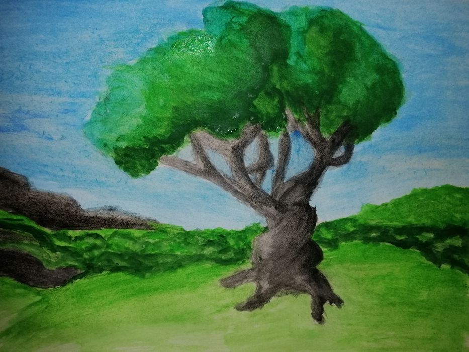 Рисую портреты карандашем, пейзажи красками.