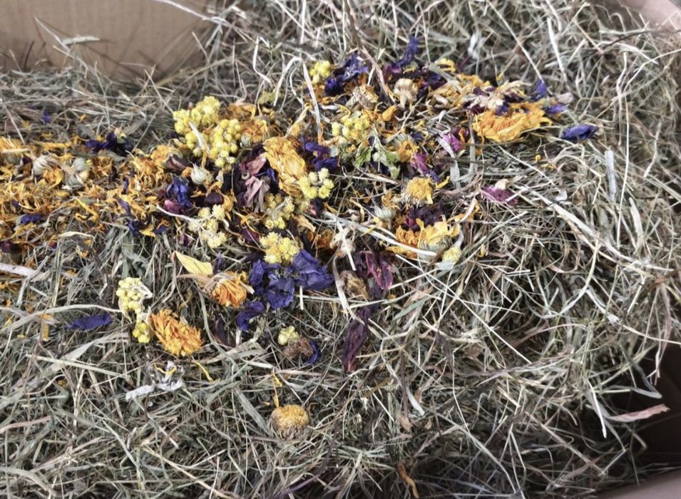 Karton siana 3 kg dla gryzoni, królików, świnek morskich, szynszyla z ziołami i kwiatami naturalne