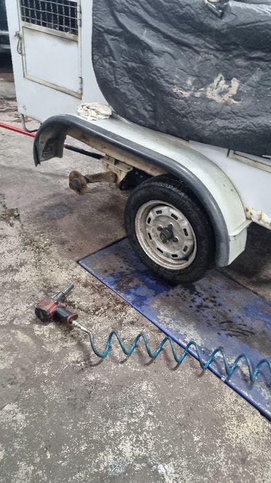 Atrelado Reboque Cães