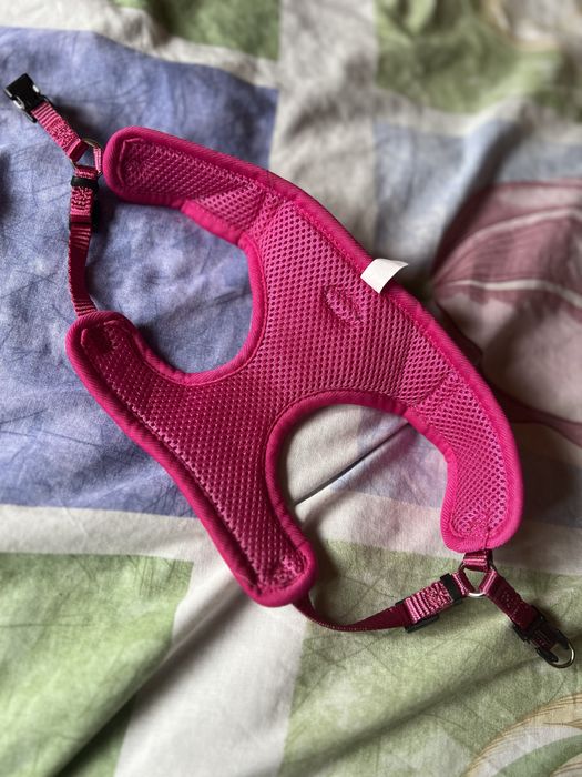 Шлея шлейка размер S для мелких собак Nobby