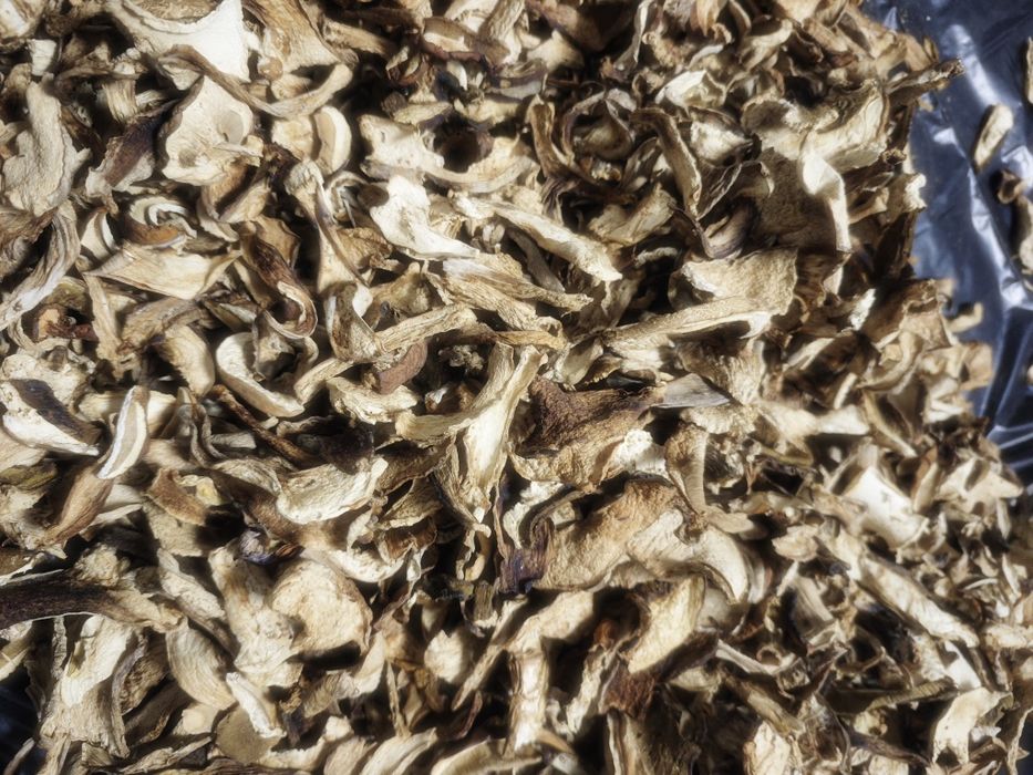 Сушені гриби.  ...