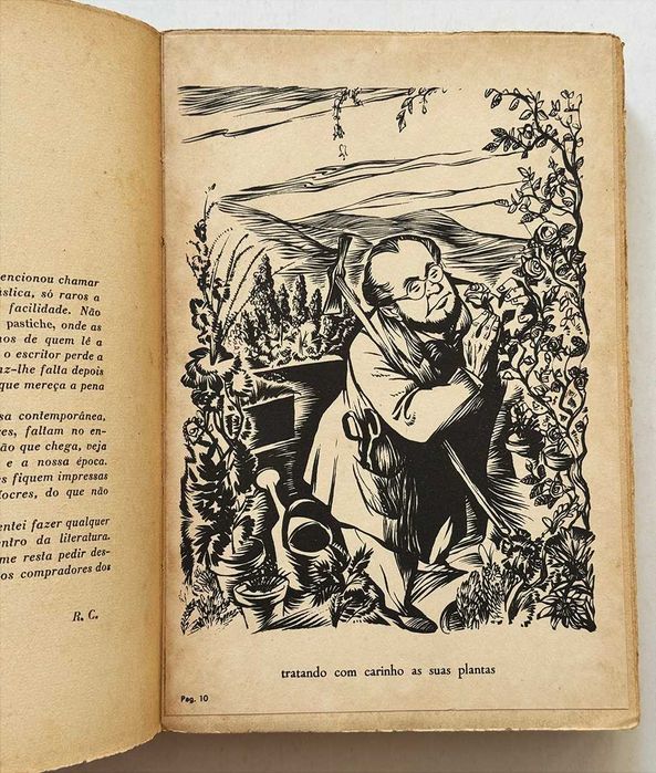 1955, Ramada Curto, Debaixo do Cedro.