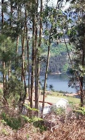 Terreno para construcao