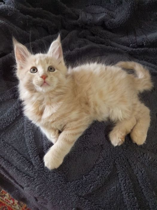 Подарунок на 14 лютого