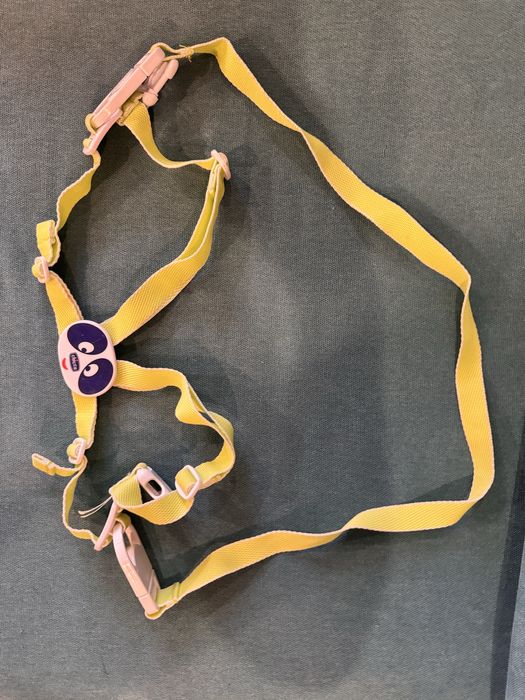 Віжки для дітей, фірми Chicco