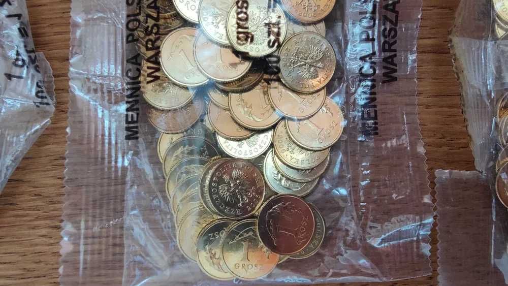 10 x Woreczek menniczy 100 x 1 grosz 2006 r