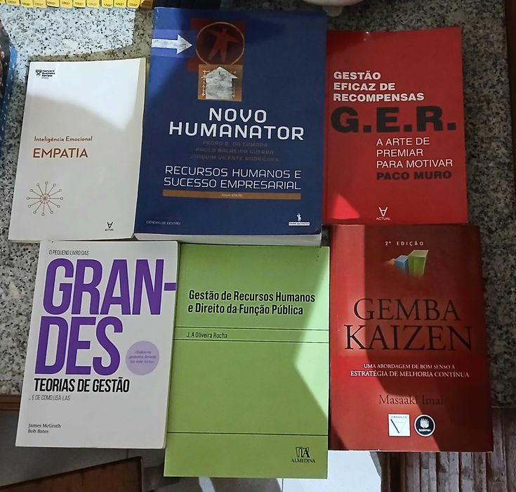 Lote de Livros em excelente Estado