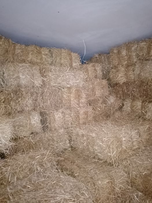 Сіно, солома свіже від реального продавця