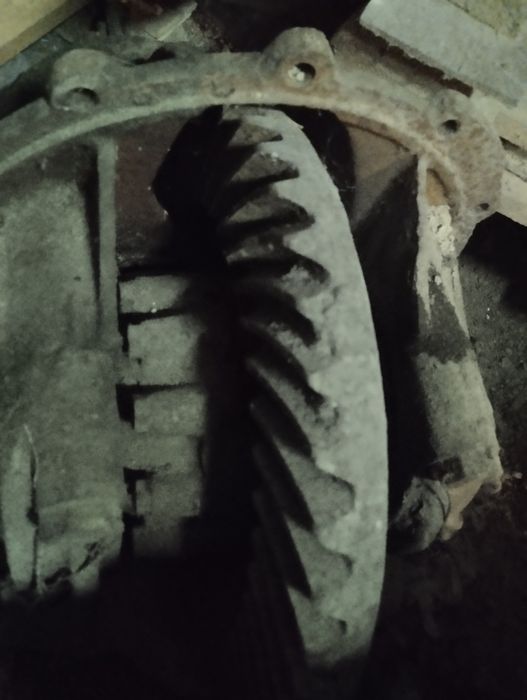 Oddam to co na zdjęciu