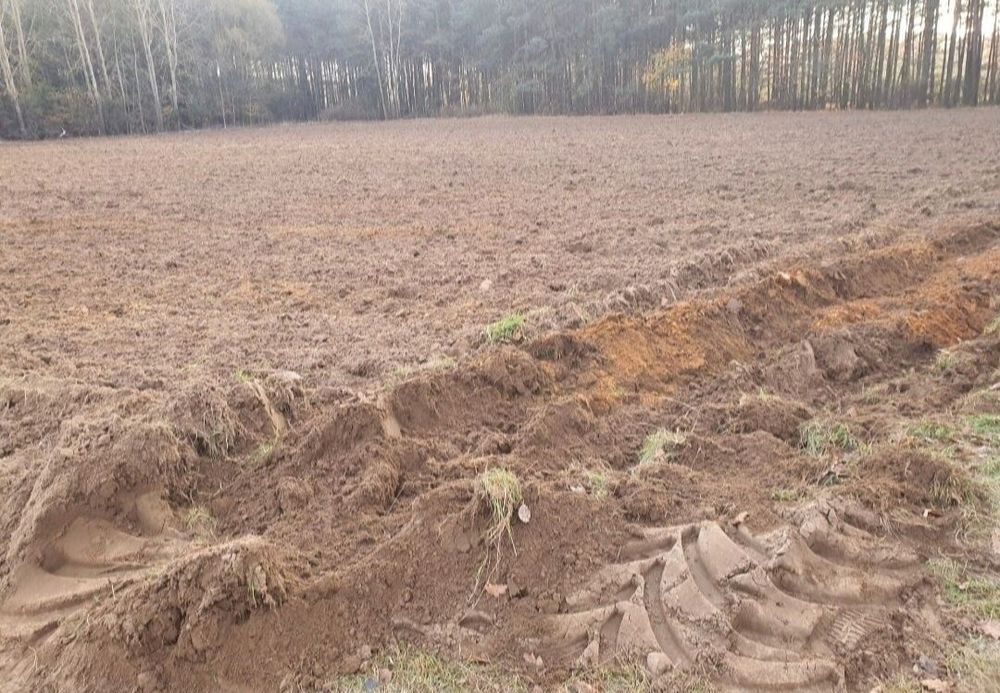 Oddam ziemie w dzierzawę 13ha