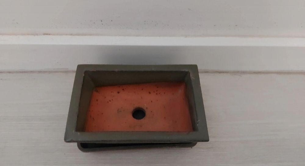 Vaso para bonsai