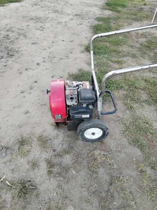 Dmuchawa  odkurzacz do liści Briggs Sttatton