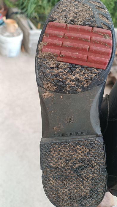 Botas de equitação