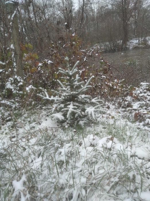 Продам будинок із земельною ділянкою с. Шмаївка