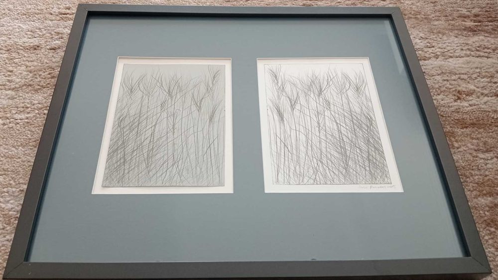 Quadro José Rosinhas 2015