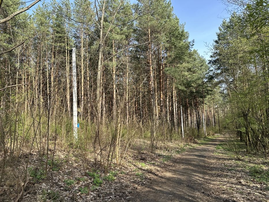 Ділянка 1 гектар в елітному районі Дмитрівки, ліс, асфальт, електрика