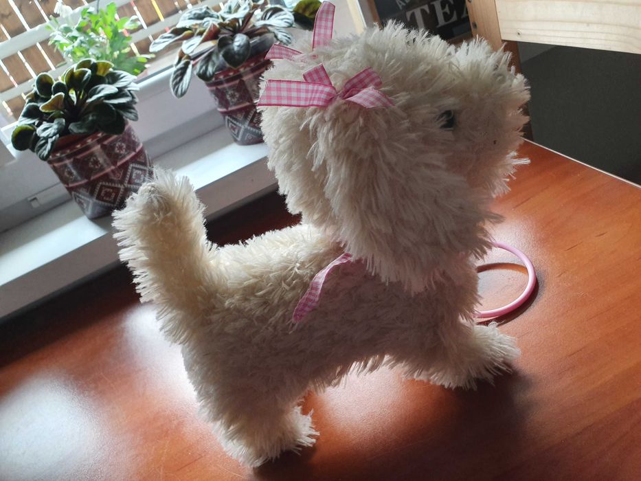 Pies zabawka na smyczy