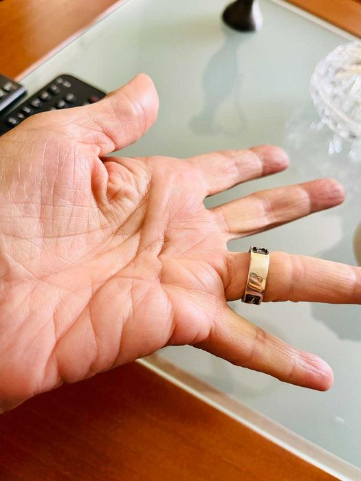 Anel em Prata com Golfinhos