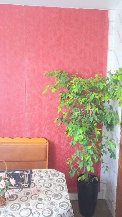 Подобово 2-х кімнатна квартира в центрі Ізюма