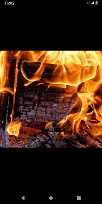 Lenha de eucalipto de qualidade. Lenha de confiança