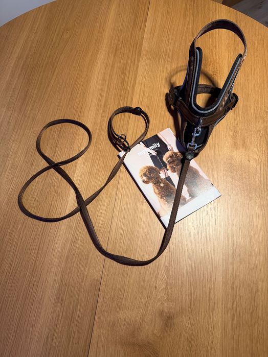 Szelki + smycz dla psa Memopet rozm M brązowe