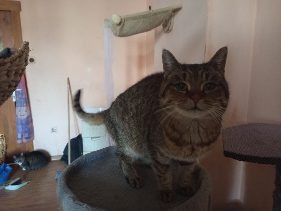 Marcysia potrzebuje domku