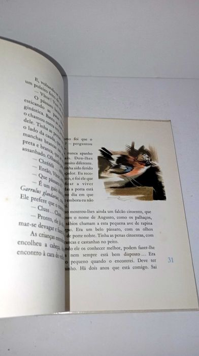 A Casa do pato Azul - Biblioteca Infantil