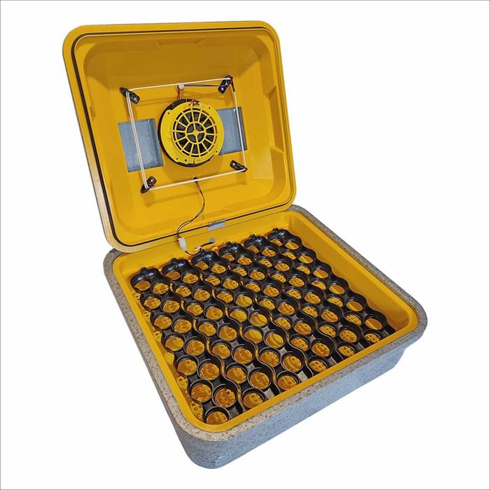 Інкубатор автоматичний Теплуша Euro 88 PRO 220В комбінований корпус