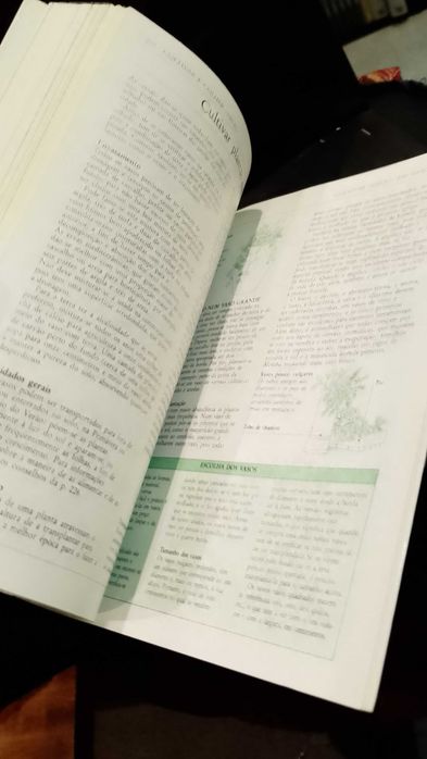 Plantas Aromáticas, Guia Prático - Lesley Bremness