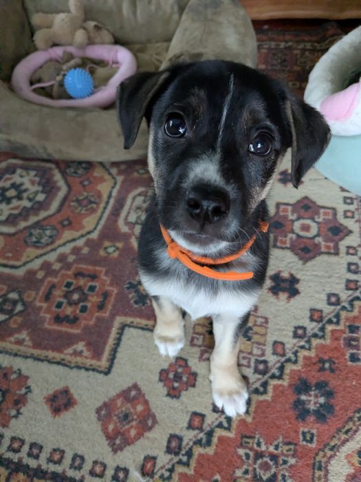 Возьмите ребенка в семью