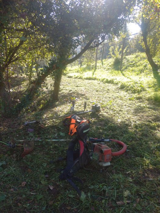 Limpeza de terrenos