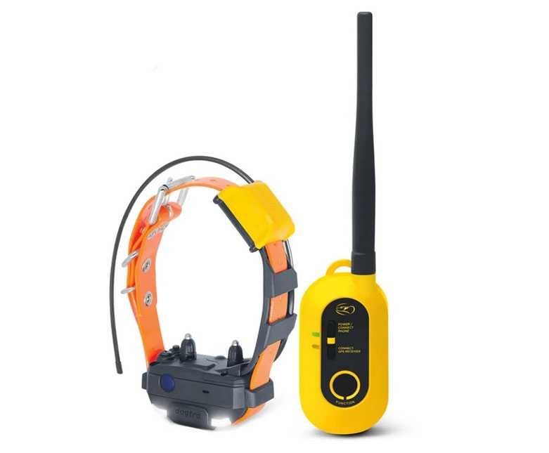 Gps dla psa Dogtra Pathfinder2 MINI dla małych i średnich  ras psów