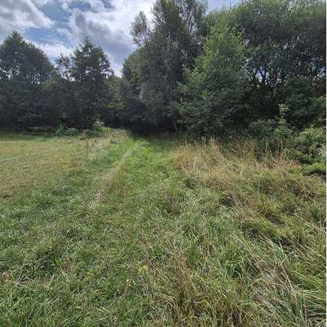 WOLANY / SZCZYTNA – 4 926 m² W spokojnej okolicy - Widok 3