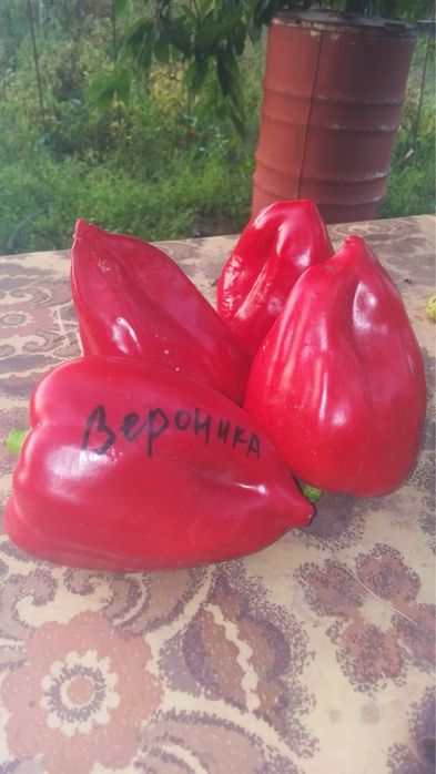 Перец сладкий семена