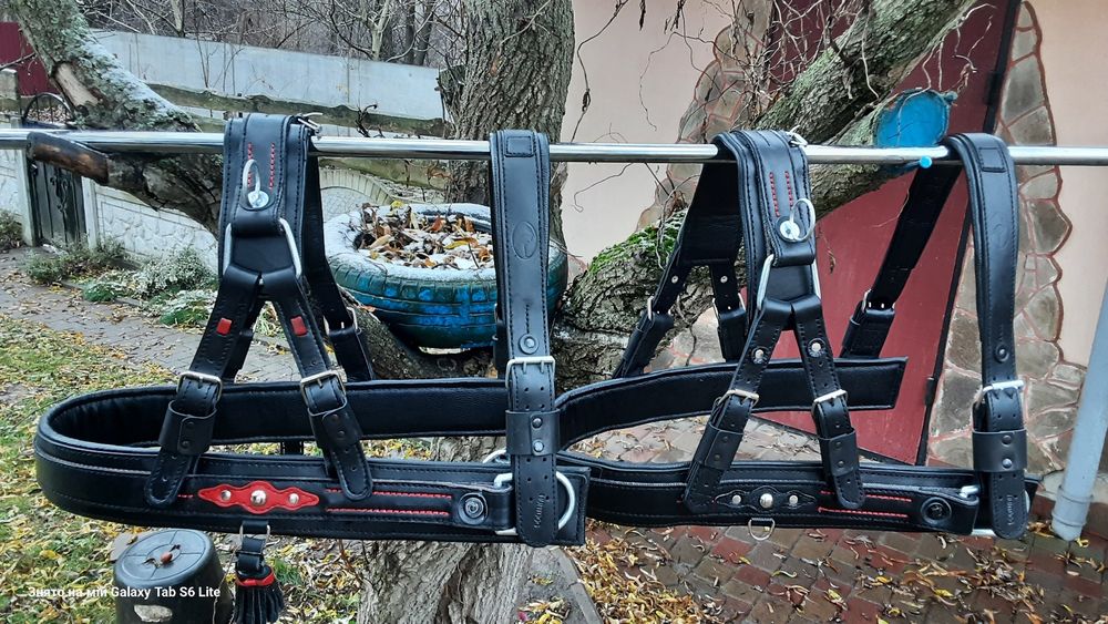 Шлея шкіряна для коня від 2500