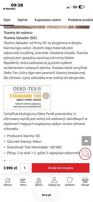 Sofa rozkładana z pojemnikiem Salvador BRW