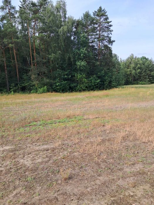 Działki budowlane