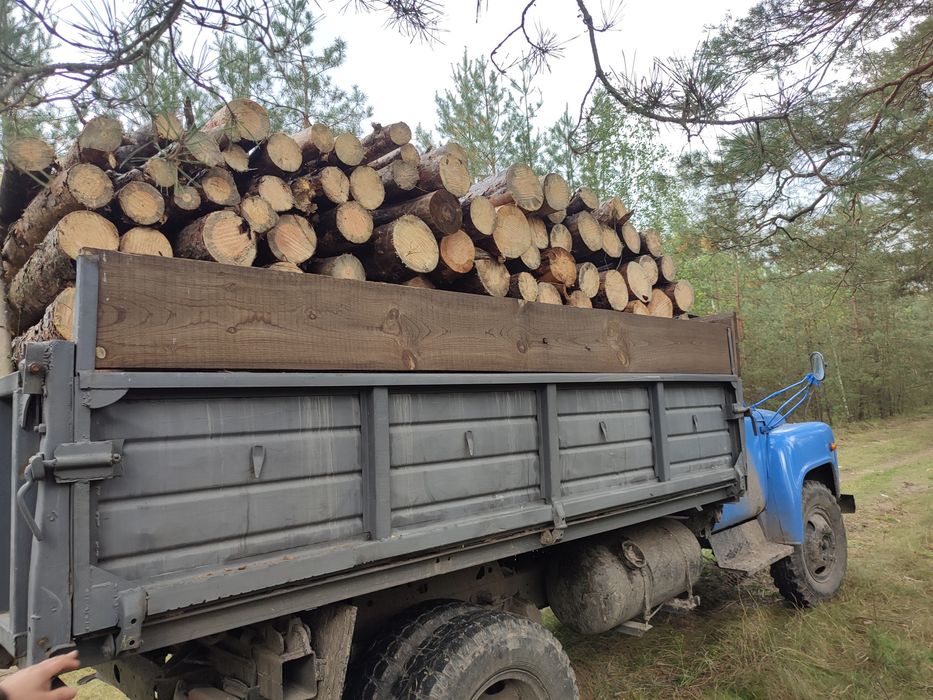 Продам дрова разних пород