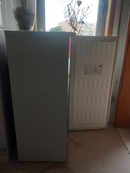 Arca Frigorífica