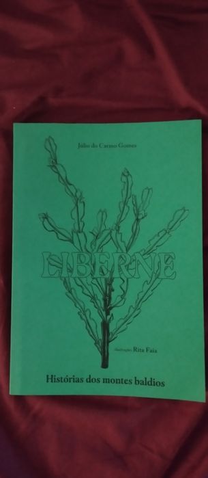 Livros Flauta de Luz (Novos)