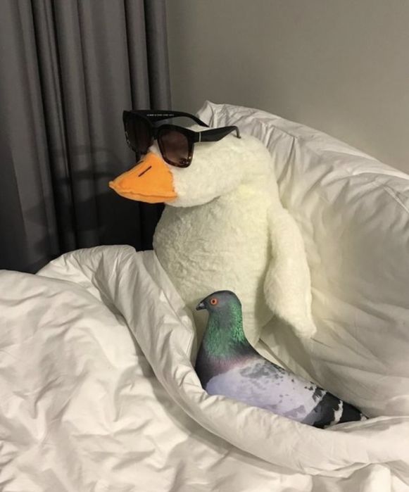 Гусь обнимусь Гусь антистрес Гусь подушка обнімусь