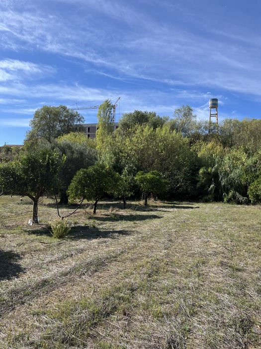 Terreno Torres Novas