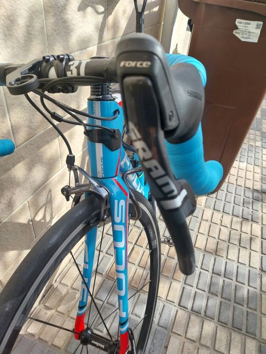 Focus cayo  carbono