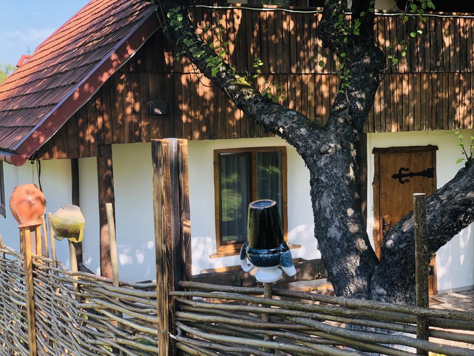 Садиба ЕКО-ДІМ, з власним Чаном та басейном відпочинок в Закарпатті