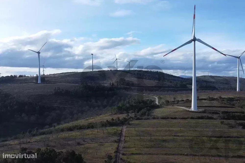 Oportunidade Imperdível – 4 Terrenos à Venda na Padrela, Valpaços
