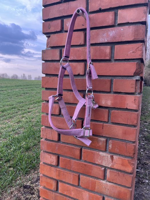 Różowy kantar brokatowy